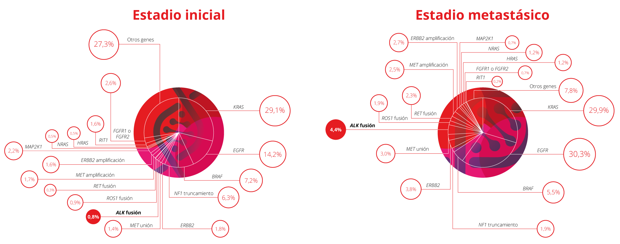 Alteraciones genómicas en pacientes con carcinomas de pulmón no de células pequeña (CPNM)