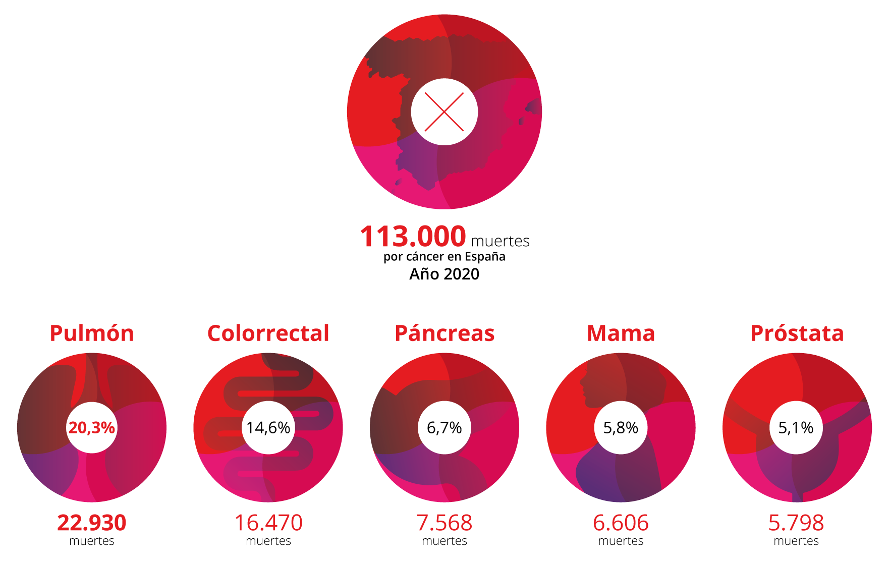 Fallecidos por tipos de cáncer en España